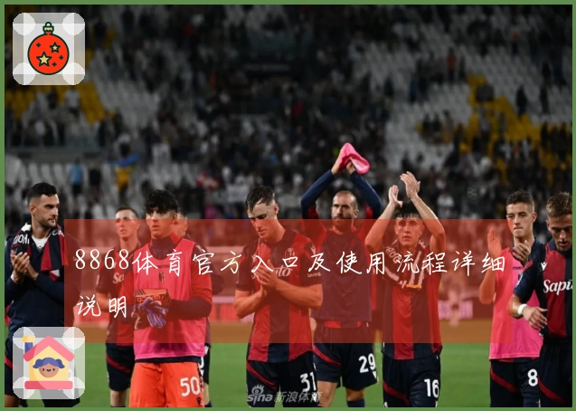 8868体育官方入口及使用流程详细说明
